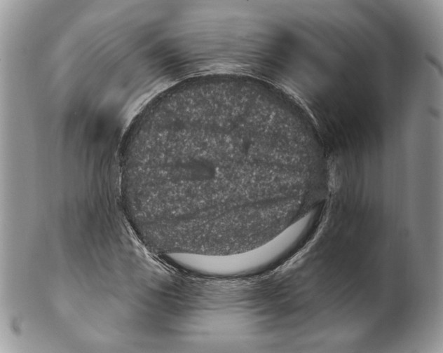 X0000099561117200806131228