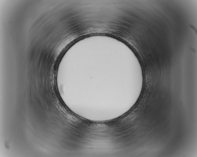 X0000099561119200806131228