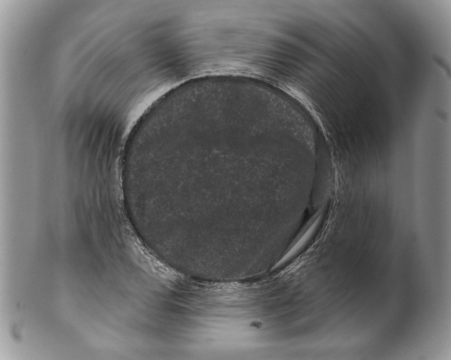 X0000099561120200806131228