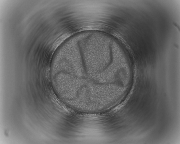 X0000099561121200806131228