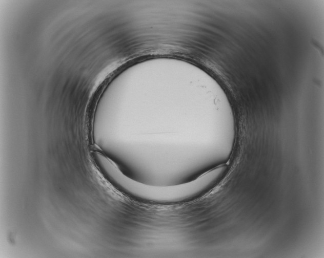 X0000099561122200806131228