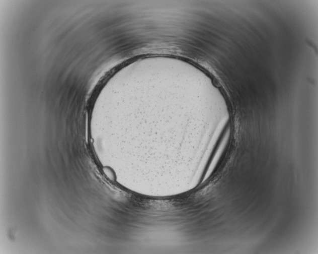 X0000099561123200806131228