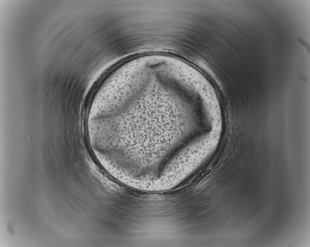 X0000099561124200806131228