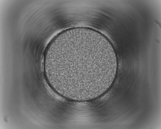 X0000099561126200806131228