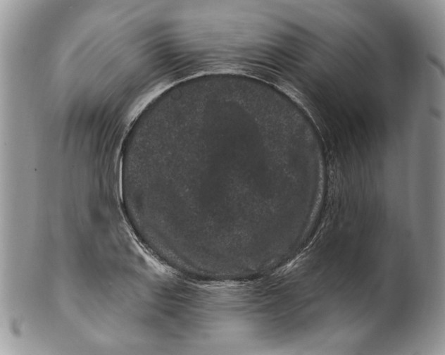 X0000099561127200806131228