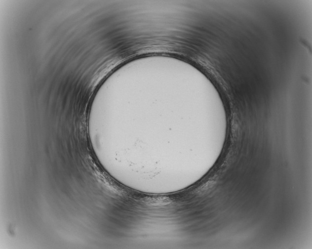 X0000099561129200806131228