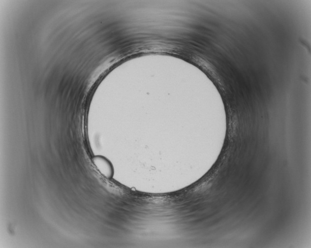 X0000099561130200806131228