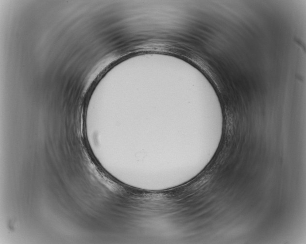 X0000099561131200806131228