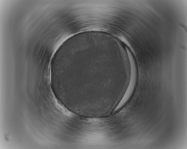 X0000099561132200806131228