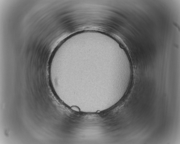 X0000099561133200806131228