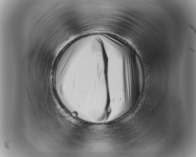 X0000099561134200806131228