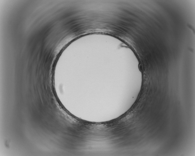 X0000099561135200806131228