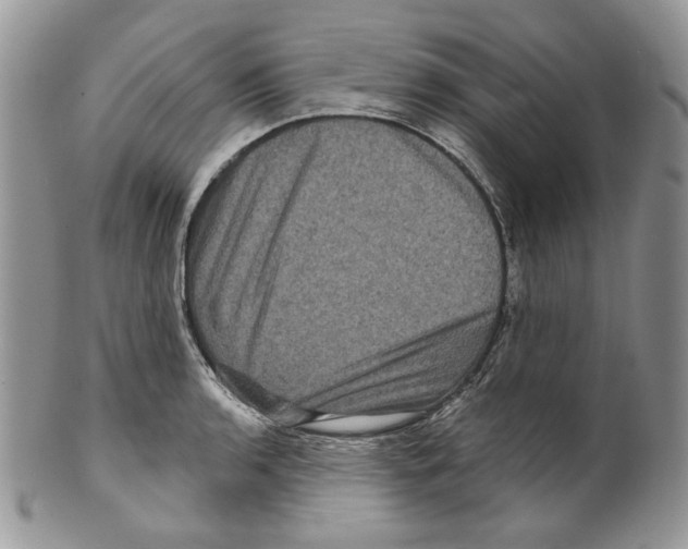 X0000099561136200806131228