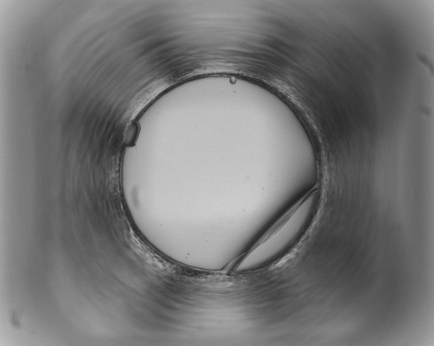 X0000099561137200806131228