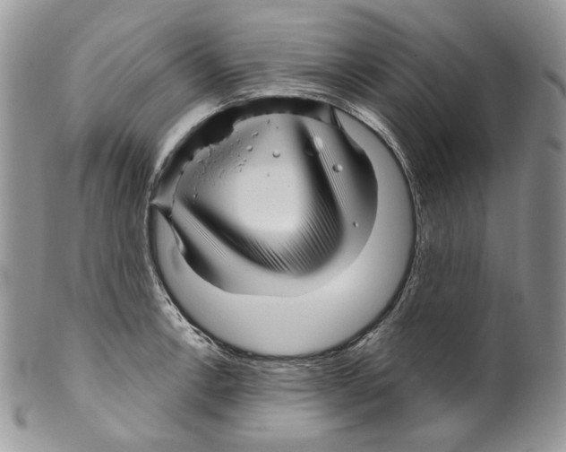 X0000099561138200806131228