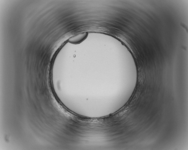 X0000099561139200806131228