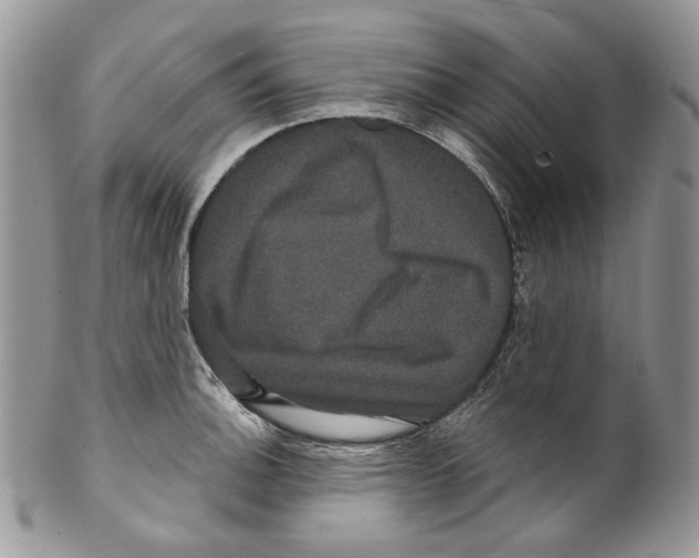 X0000099561140200806131228