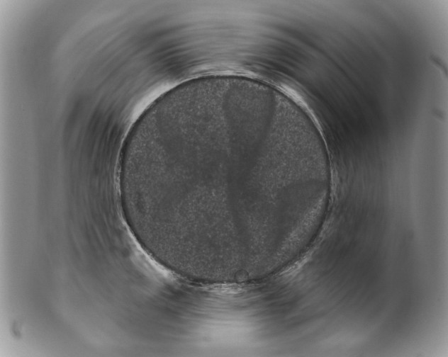 X0000099561141200806131228