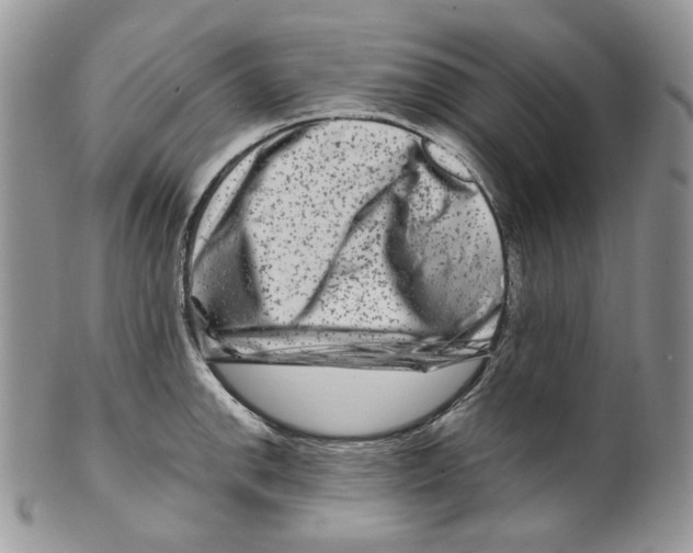 X0000099561142200806131228