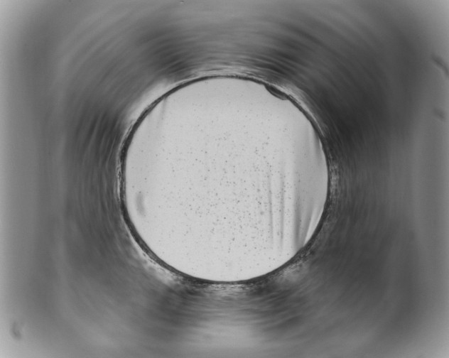 X0000099561143200806131228