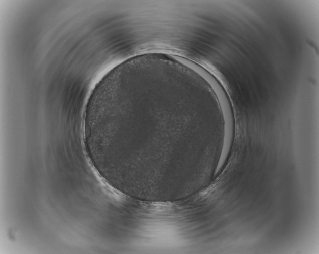 X0000099561144200806131228