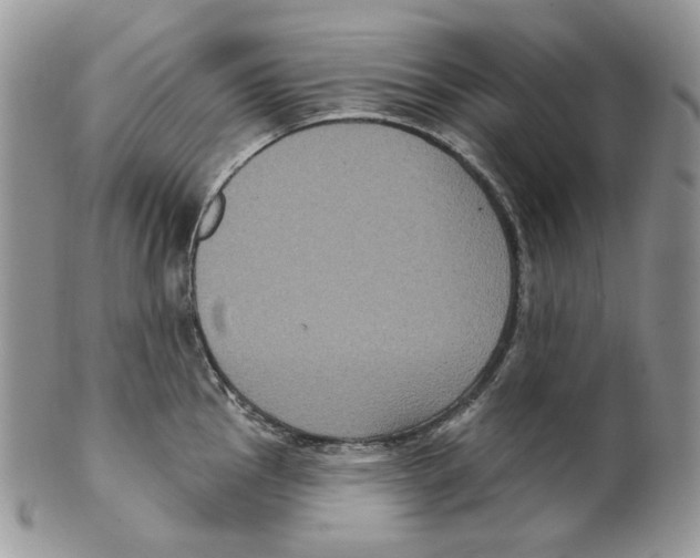 X0000099561145200806131228