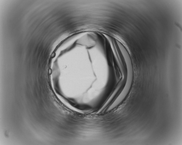 X0000099561146200806131228