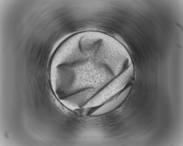 X0000099561148200806131228