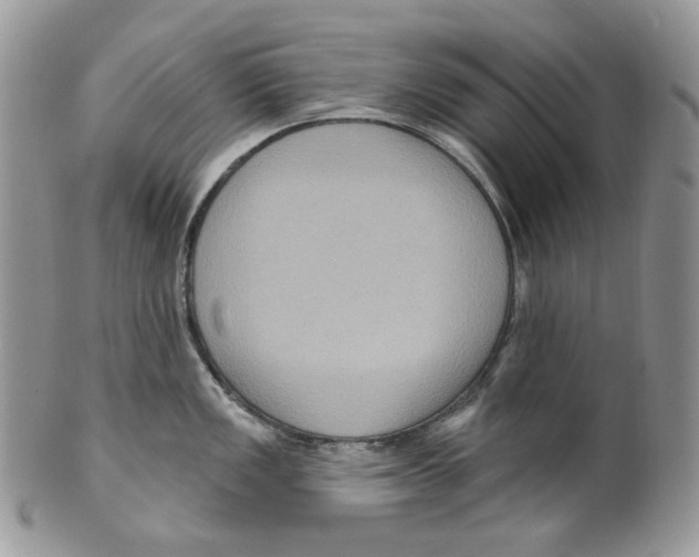 X0000099561149200806131228