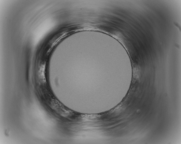 X0000099561150200806131228