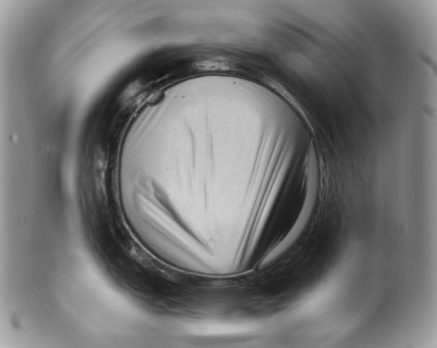 X0000099561151200806131229