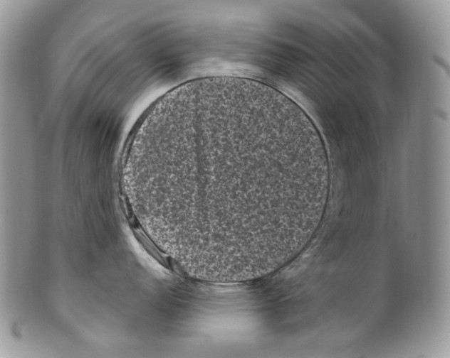 X0000099561152200806131229