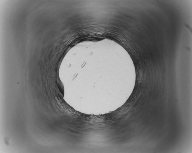 X0000099561153200806131228