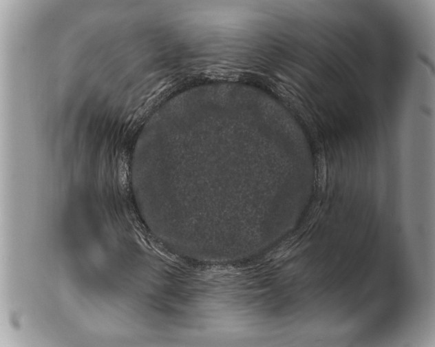 X0000099561154200806131228