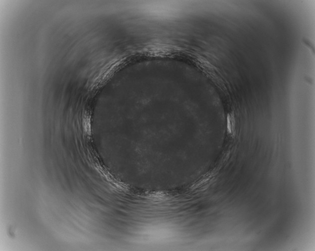 X0000099561155200806131228