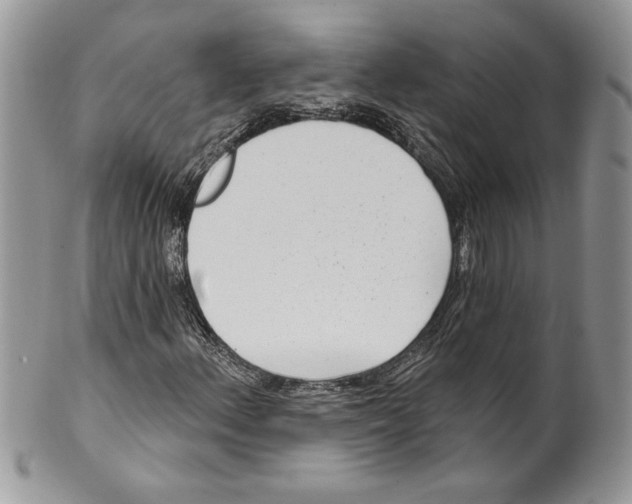 X0000099561156200806131228