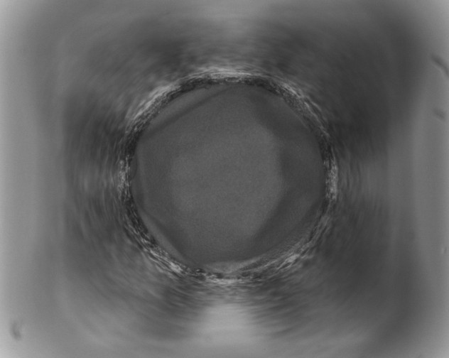 X0000099561157200806131228