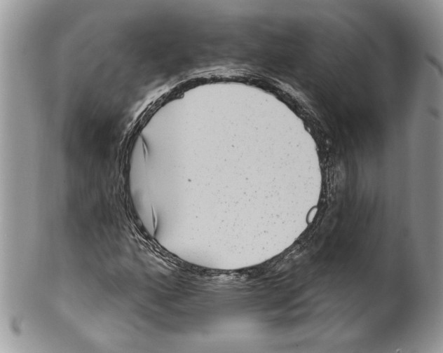 X0000099561160200806131228