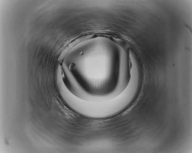 X0000099561161200806131228