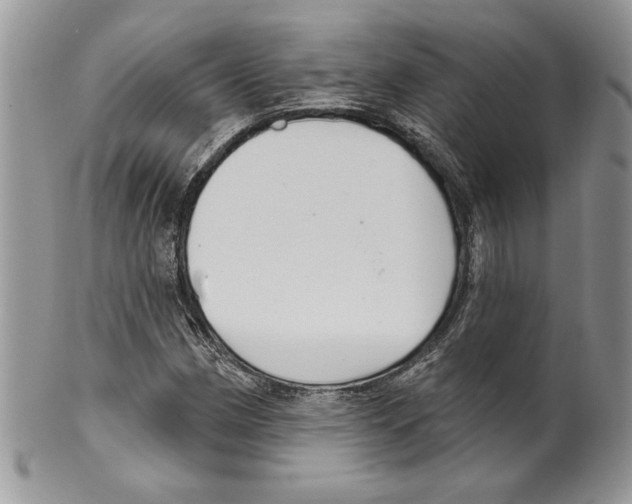 X0000099561162200806131228