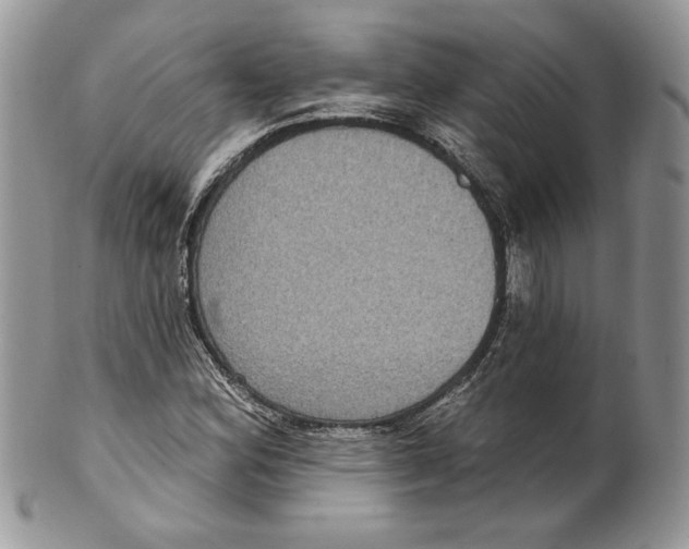 X0000099561164200806131228