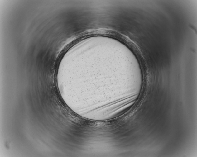 X0000099561166200806131228