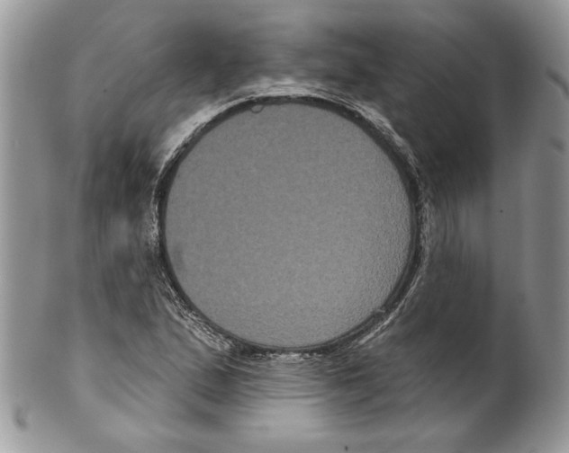 X0000099561167200806131228