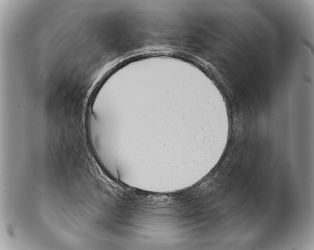 X0000099561168200806131228