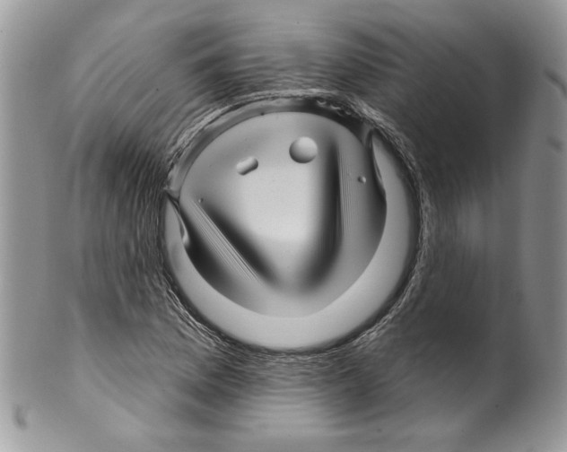 X0000099561169200806131228