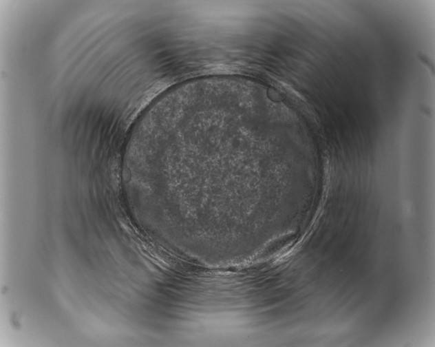 X0000099561170200806131228