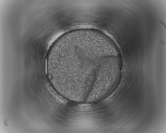 X0000099561171200806131228