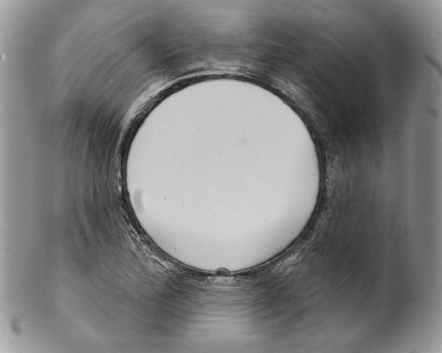 X0000099561172200806131227