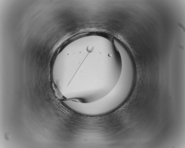 X0000099561173200806131227