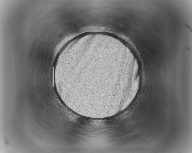 X0000099561175200806131227